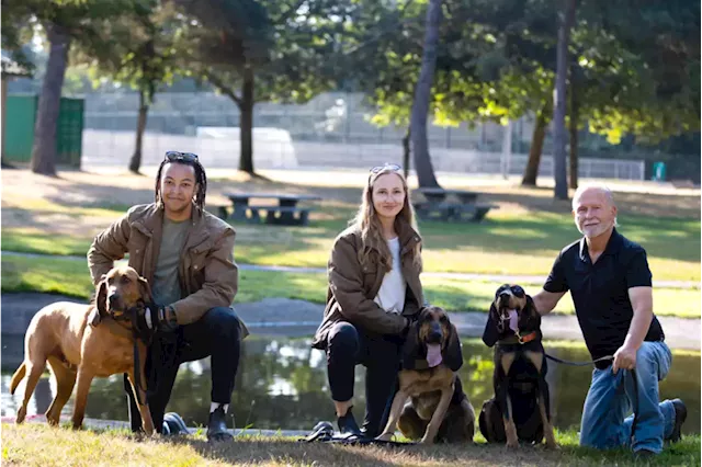 B.C. business uses team of bloodhounds to search for lost pets – Terrace Standard