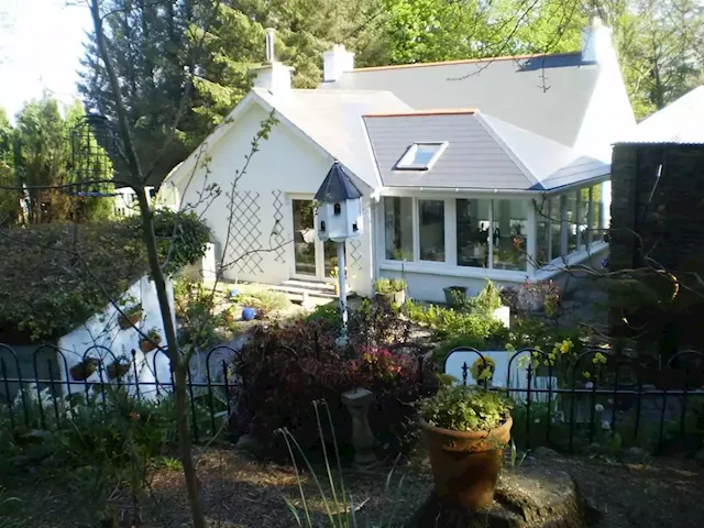 This picturesque woodland escape with its own pond is on the market for €225,000 | IMAGE.ie