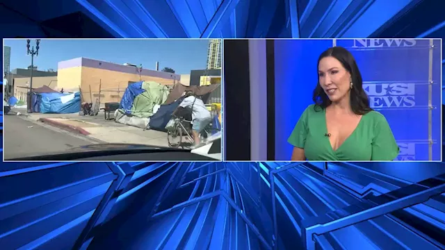 Downtown San Diego business owners fed up with homeless destroying the community -