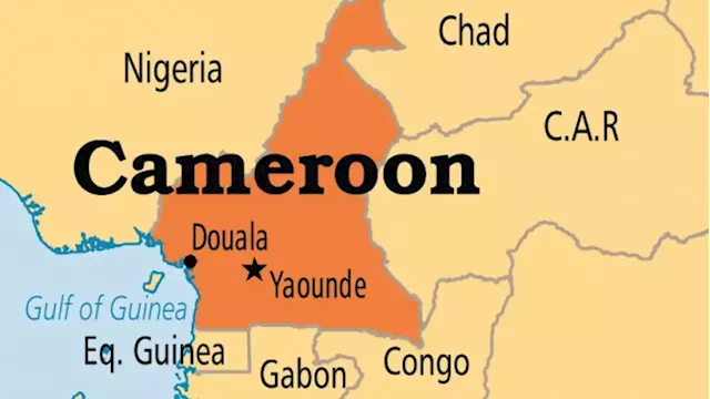 Cameroon joins Africa Finance Corporation in push toward manufacturing economy