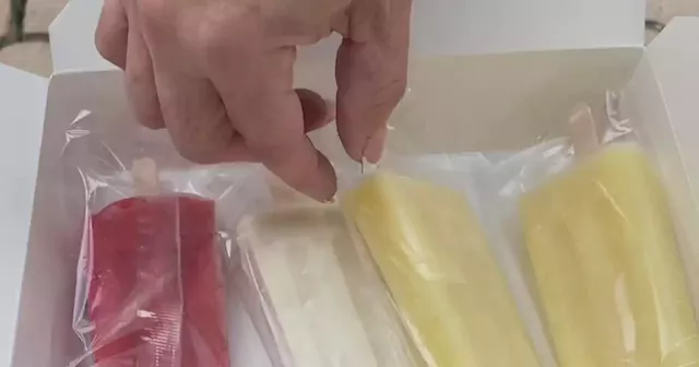 San Francisco business uses family recipes for fresh-made paletas