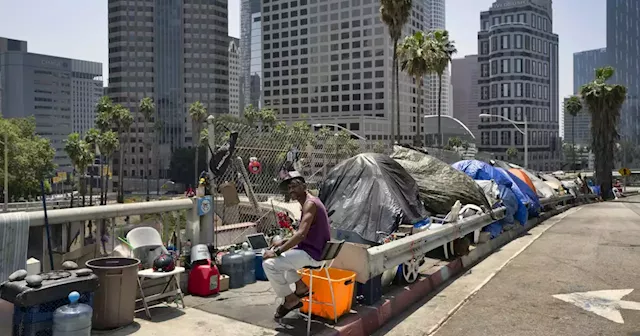 LA homeless crisis has created 'gangster's paradise,' small business owner says