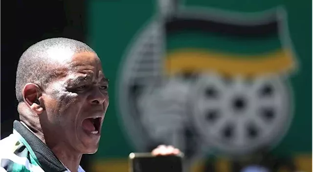 I will stand for elections if elected by branches, I was not elected by any leader of the ANC: Magashule - SABC News - Breaking news, special reports, world, business, sport coverage of all South African current events. Africa's news leader.