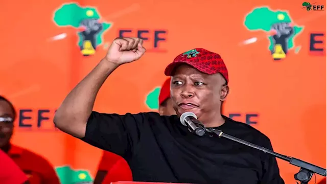 Malema: There’s no heritage without acceptance of other Africans - SABC News - Breaking news, special reports, world, business, sport coverage of all South African current events. Africa's news leader.