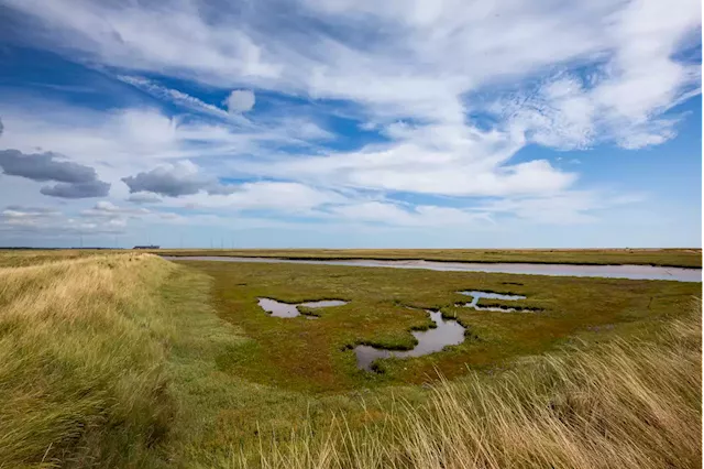 Liz Truss accused of 'attack on nature' with weakened environment rules in 'investment zones'