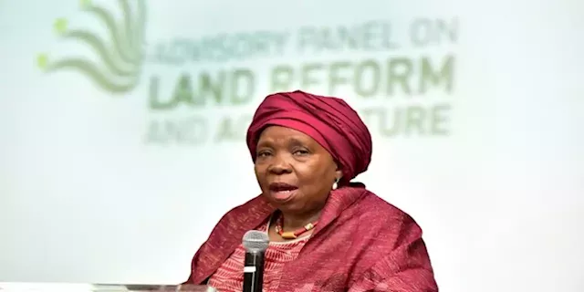 ANC’s step-aside rule is unfair and aggravates party division: Dlamini-Zuma - SABC News - Breaking news, special reports, world, business, sport coverage of all South African current events. Africa's news leader.