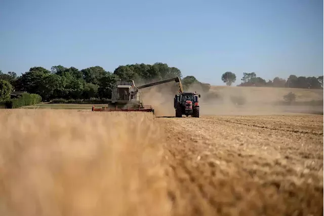 Droughts, war in Ukraine push global grain stocks toward worrying decade low