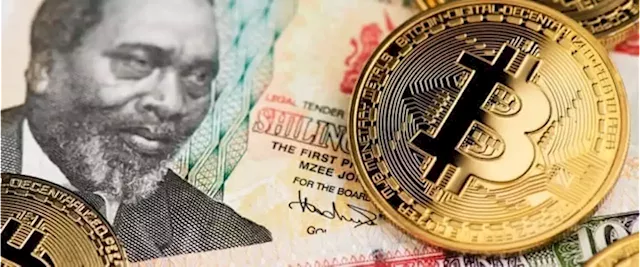 Emerging Markets Lead The World In Crypto Adoption Despite Bear Market | OilPrice.com