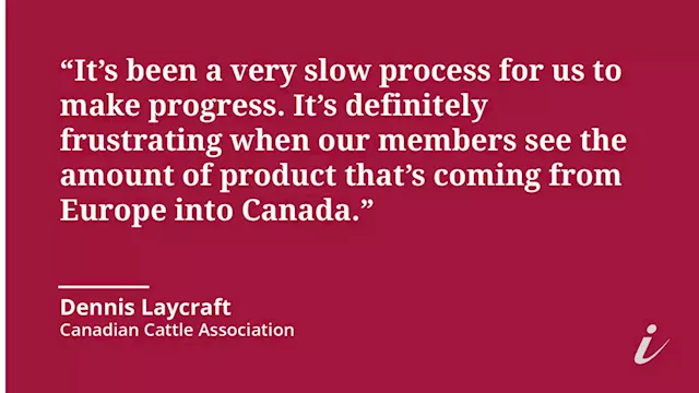 Five years since EU free trade agreement, Canadian exporters say market access still limited