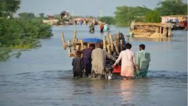 Pakistan floods claim over 1600 lives - SABC News - Breaking news, special reports, world, business, sport coverage of all South African current events. Africa's news leader.