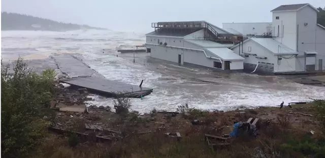 Nova Scotia seafood company has a lot of repair work ahead after Fiona | SaltWire