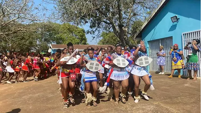 Zulu maidens celebrate reed dance in colourful traditional attire - SABC News - Breaking news, special reports, world, business, sport coverage of all South African current events. Africa's news leader.