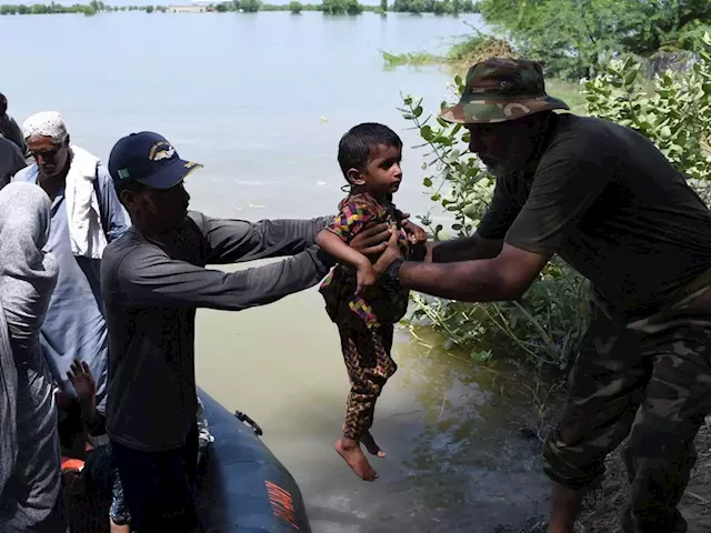 B.C. Climate News Aug. 29 to Sept. 4: More than 1,200 die in Pakistan floods | Hawaii quits coal | UBC study finds fish stocks can't recover without addressing climate crisis and overfishing