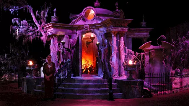 This company will pay you $1,000 to watch Disney Halloween movies