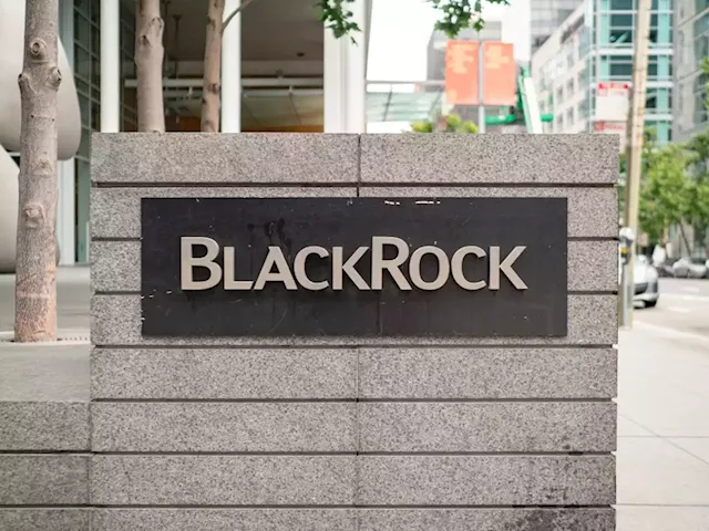 BlackRock preps ETF targeting metaverse companies: Bloomberg