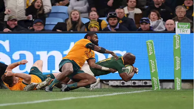 Nienaber delighted as experimental Springboks take their chances - SABC News - Breaking news, special reports, world, business, sport coverage of all South African current events. Africa's news leader.