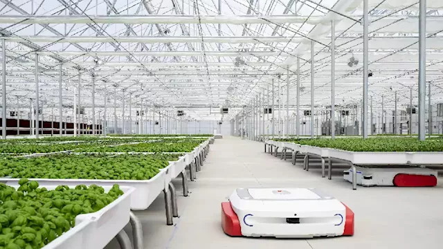 This AI agricultural robot can help lower greenhouse gas emissions, company claims