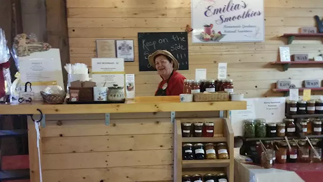 MEET THE MAKERS: From preserves to kombucha, N.S. woman taps into artisanal food market | SaltWire