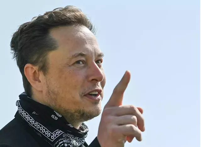 A lawyer representing hundreds of laid-off Twitter staff accused Elon Musk of trying to 'fleece' workers | Business Insider