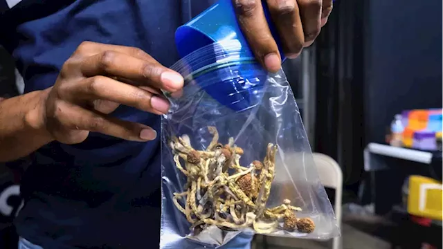 As under-the-table market grows, patients urge Ottawa to regulate magic mushrooms