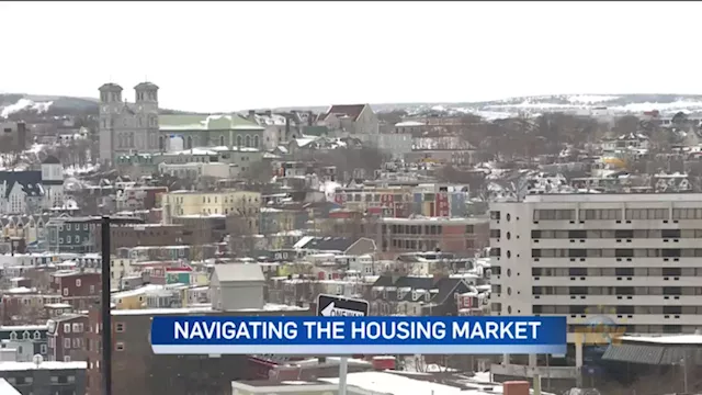 Tips from two mortgage brokers on navigating housing market