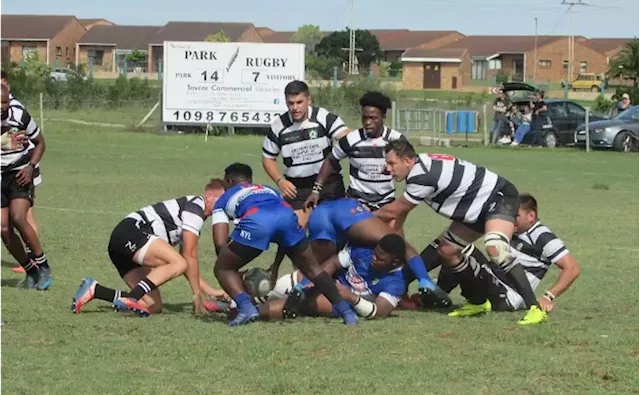 The annual Premier Rugby Tournament launch kicks off in Gqeberha - SABC News - Breaking news, special reports, world, business, sport coverage of all South African current events. Africa's news leader.