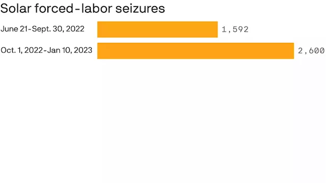 U.S. crackdown on Chinese forced labor hits solar industry