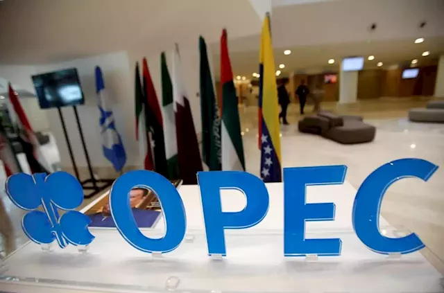 OPEC+ faces oil market volatility in both supply and demand, says UAE energy minister