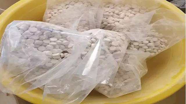 Cape Town woman bust with R1.5 million worth mandrax tablets - SABC News - Breaking news, special reports, world, business, sport coverage of all South African current events. Africa's news leader.