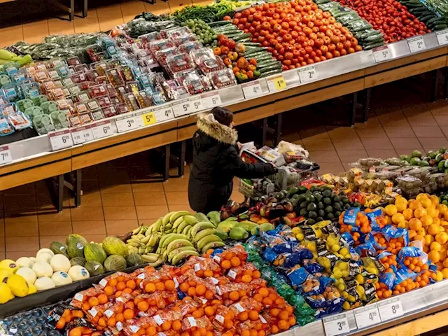 Grocery business to have first-ever code of conduct by end of 2023: Agriculture minister