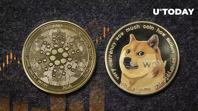 Cardano Beats Dogecoin (DOGE) in Market Cap Top as ADA Price Spikes Higher