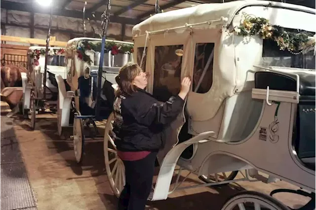 Philadelphia’s last carriage company cleared out its stables, but are its tours returning?