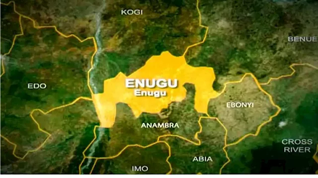 Fire razes 15 shops in Enugu market - Punch Newspapers