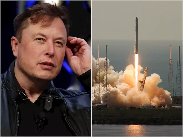 SpaceX employees 'relieved Elon Musk is focused on Twitter' because there is a calmer work environment now | Business Insider