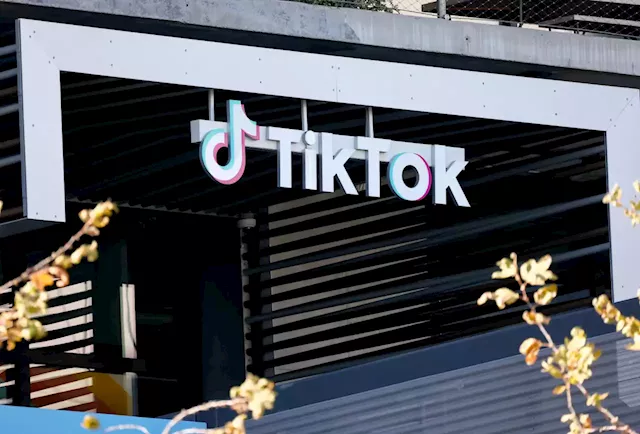 Social media booms as recession looms: TikTok leads in business-to-business marketing