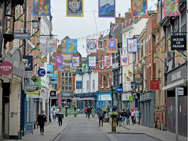 Some Shrewsbury companies don't realise town's CCTV is monitored 24/7, says business chief