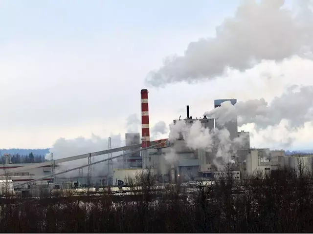 $90 million fund aimed at protecting jobs in B.C.'s faltering forestry industry