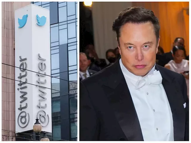 Twitter employees sobbed in the bathrooms when Musk's takeover went through as they feared for their jobs | Business Insider