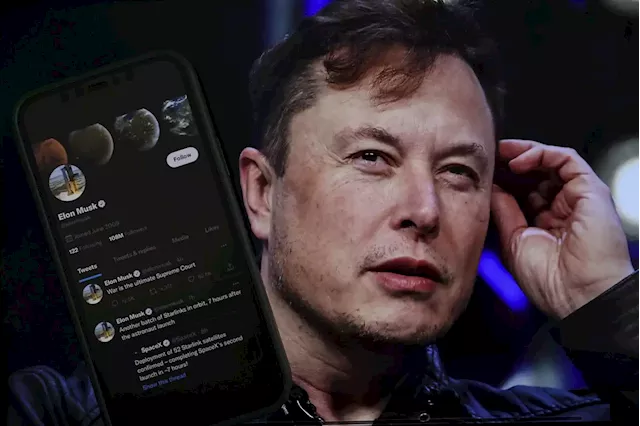 Elon Musk says Twitter has changed its 'For You' algorithm again | Business Insider