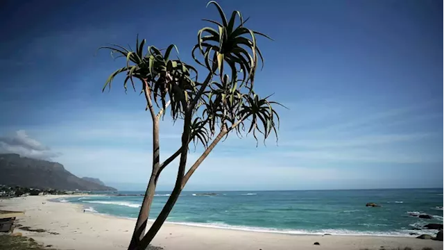 Beach safety programme hailed a huge success at Port St Johns - SABC News - Breaking news, special reports, world, business, sport coverage of all South African current events. Africa's news leader.