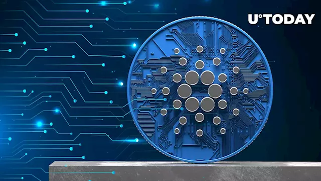 Cardano's DeFi Industry Might Grow Substantially in 2023, Here's How