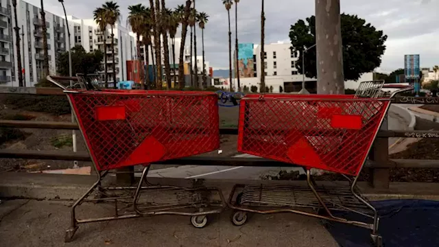 Shopping carts keep disappearing from stores | CNN Business