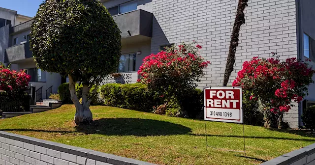 Red-hot rental market is cooling in a good sign for inflation