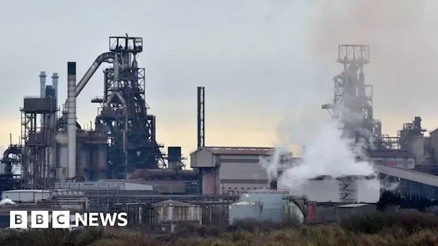 Steel industry needs money soon, union boss warns