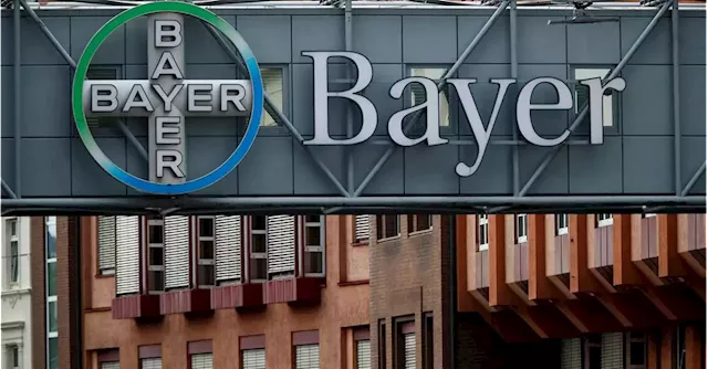 Bayer investor criticizes company chair for lack of initiative