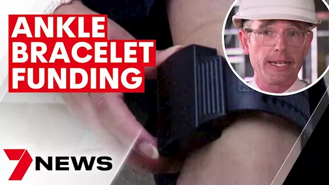 NSW leaders support additional investment in ankle bracelet technology | 7NEWS