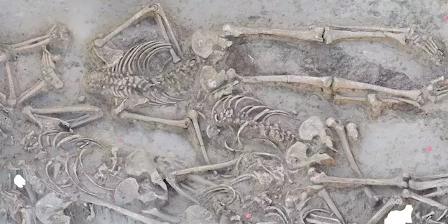 Archaeologists found 38 skeletons in a 7,000-year-old mass grave. All but one had been decapitated. | Business Insider