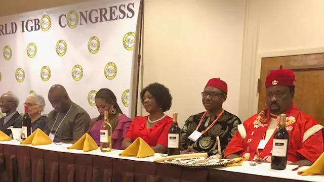 ”We’re not in the business of issuing threats” – World Igbo Congress replies Ekpa