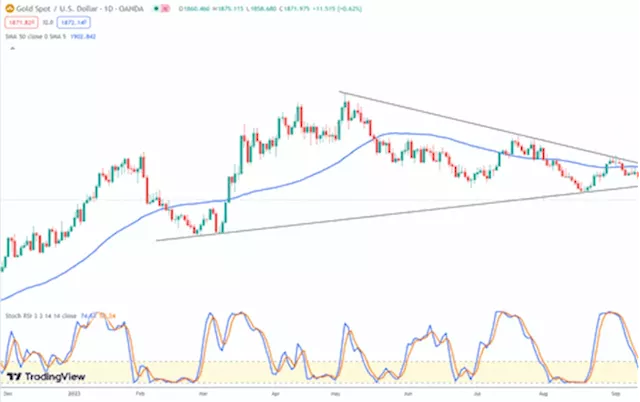 Gold, silver, stocks surge despite inflation data. Time to buy Palladium?