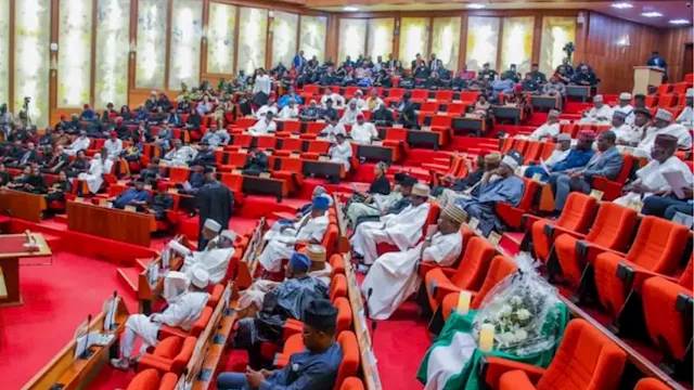 Senate To Return Social Investment Programme To Presidency